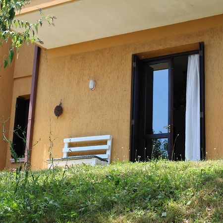 B&B Drusilla Garden Soiano Del Lago Esterno foto